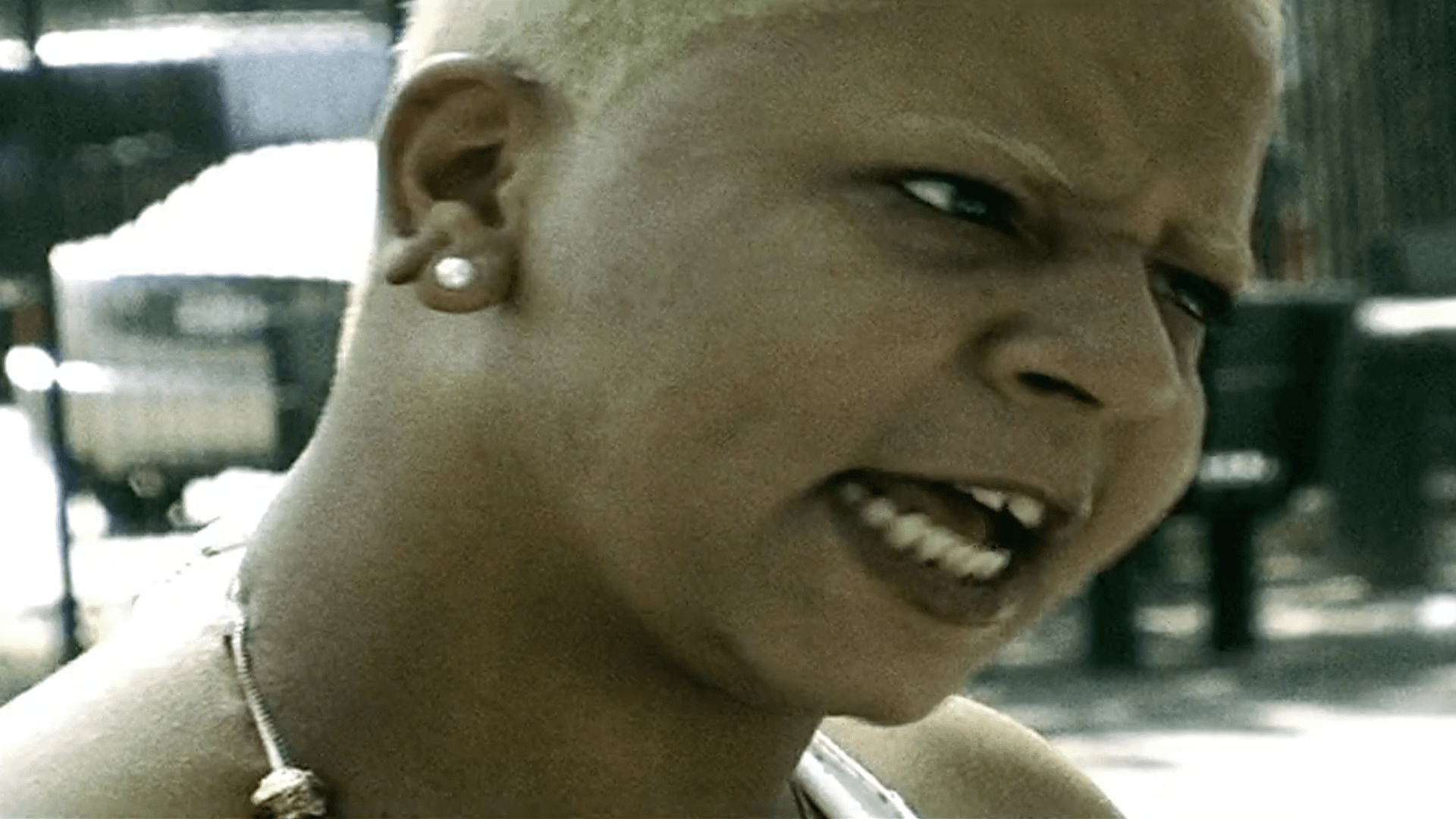 buleets over brownsville Pit Bull